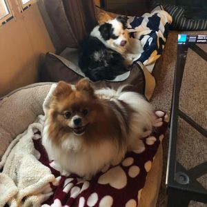 Meet your Posher, Hailey